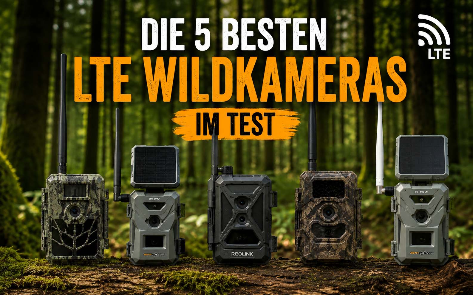 Die 5 besten LTE-Wildkameras 2026 im Revier-Test